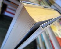 Dr. Johnson's dictionary : the extraordinary story of the book that defined the world