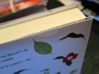 青嵐の庭にすわる : 「日日是好日」物語