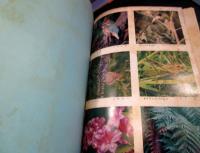 静岡県の生物　1979　　日本生物教育会　第34回全国大会記念誌　　