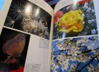 アサヒカメラ教室 : ハイテク時代の最新写真術