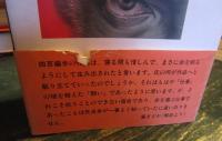 バンパイヤ 　秋田文庫　全3巻　初版