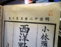 西洋野菜そだて草