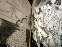 AUBREY BEARDSLEY'S EROTIC UNIVERSE