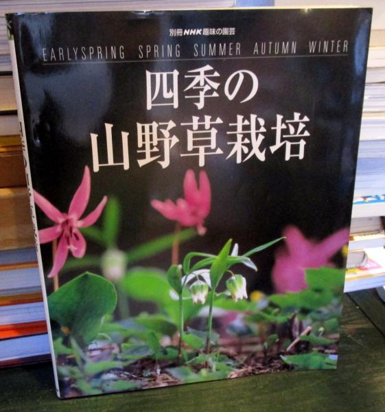 四季の山野草 豪奢な - その他