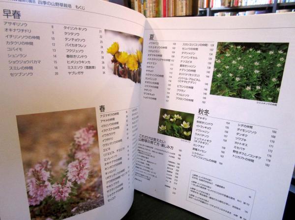 四季の山野草 - 人文