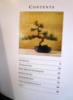 Practical Bonsai: A Book of Little Trees 　盆栽　英語　ペーパーバック