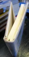 ゲーテ 激情の書 客家文学的珠玉1　鍾肇政 (著), 永井江理子 (翻訳)