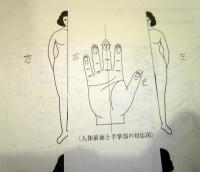 高麗手指鍼講座 : 日本語版