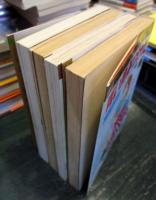 青い鳥みつけた 4冊完結　 (マーガレットコミックス)