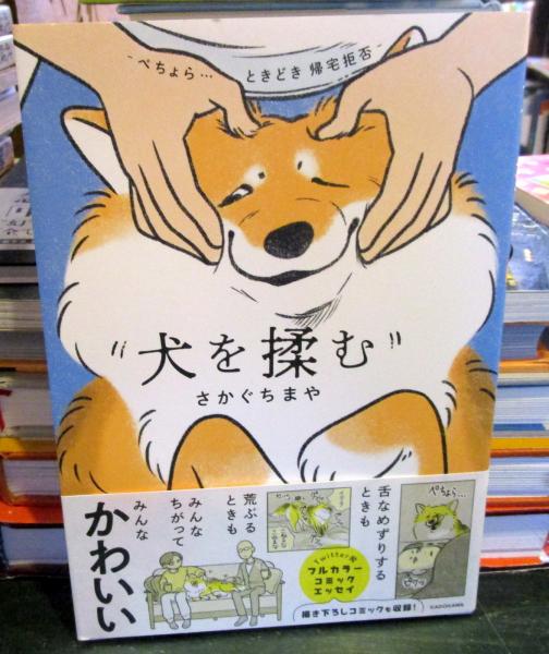 ヤチコダルマ　土佐犬抱っこ ヤチコダルマ 土佐犬抱っこ