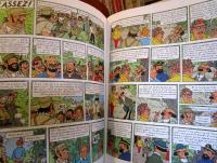 Tintin Et Les Picaros (Les Aventures De Tintin)