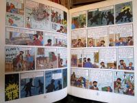 L'Affaire Tournesol (Les Aventures De Tintin)
