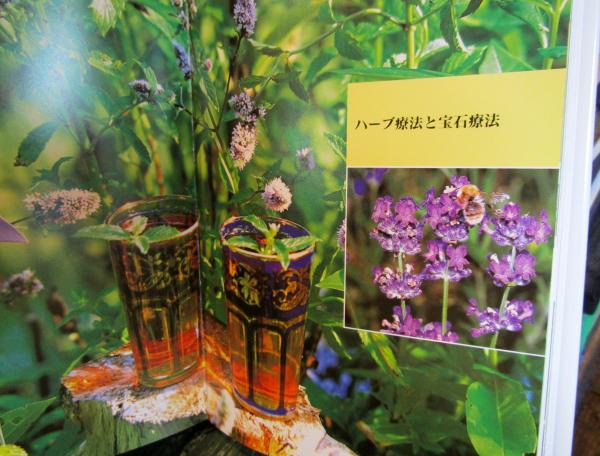 薬草魔女のナチュラルライフ : ハーブを楽しむ・ヘルシーハーブ活用術