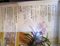 花時間　　フラワーアーティストシリーズ⑳
パリモードの花。昼と夜 　　江口 美貴