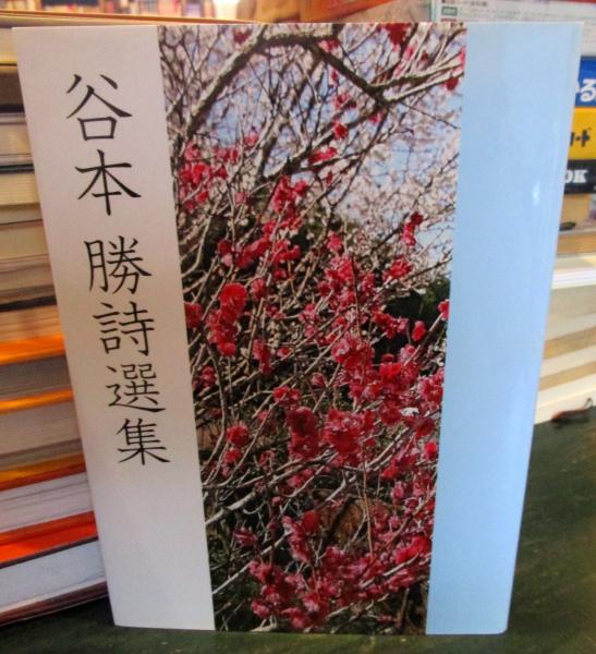 綜合漢和辭典(総合漢和辞典) 小柳司気太 博文館 昭和15年重版