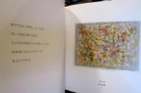難波田龍起画集 : 石窟の時間