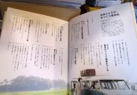 丸林さんちの手づくり家具帖 : 簡単にできるアンティークスタイル木工レシピ