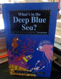 What's in the Deep Blue Sea? (Flap books - can you guess？)
