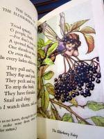 Flower Fairies of the Autumn 
