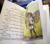 Flower Fairies of the Spring