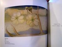  THE GEORGIA O'KEEFFE MUSEUM