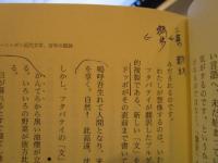 ニッポンの小説 : 百年の孤独