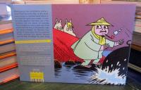 Moomin and the Sea