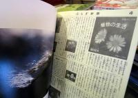 どこでも花が……