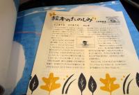 せんひくよろこび　　こどものとも年中向き　通巻345号
折り込みふろく付