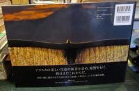 原野行