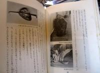 楽しい化石の採集