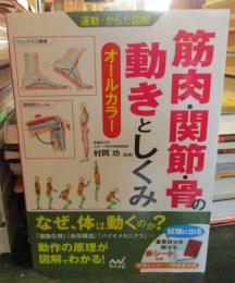 筋肉・関節・骨の動きとしくみ