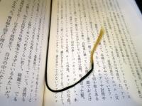 鍵のかかった部屋