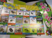 なぜなぜ?こん虫ふしぎ図鑑 (チャイルドブックこども百科)
