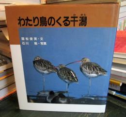 わたり鳥のくる干潟