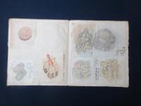 山内金三郎(神斧)　和菓子　肉筆画帖