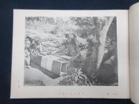 台湾蕃族図譜　第1・2巻