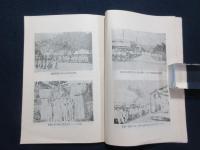 南洋南支を視察して