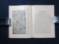 龍 THE CHINESE DRAGON