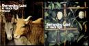 【図録】「ベルナルディーノ・ルイーニとその息子たち」全2巻揃　Bernardino Luini e i suoi figli