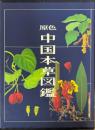 原色中国本草図鑑　第7巻