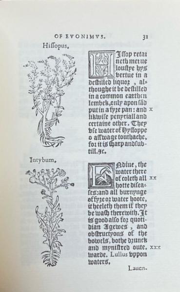 The treasure of Euonymus コンラート・ゲスナー (Conrad Gesner
