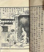 明治新撰　西京繁昌記　上巻
