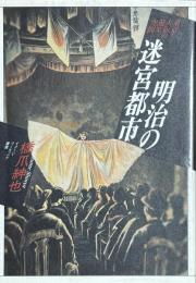 東京・大阪の遊楽空間　明治の迷宮都市　イメージリーディング叢書