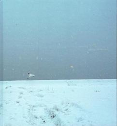 【署名本】七雪