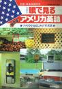 眼で見るアメリカ英語 保存版