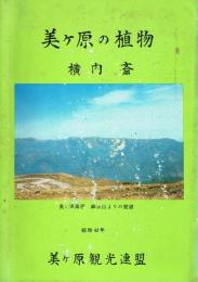 美ケ原の植物