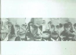 私は神のパズルを解きたい アインシュタイン・ドキュメント