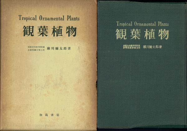 観葉植物(瀬川弥太郎) / 古本、中古本、古書籍の通販は「日本の