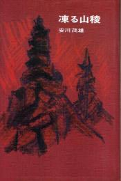 凍る山稜